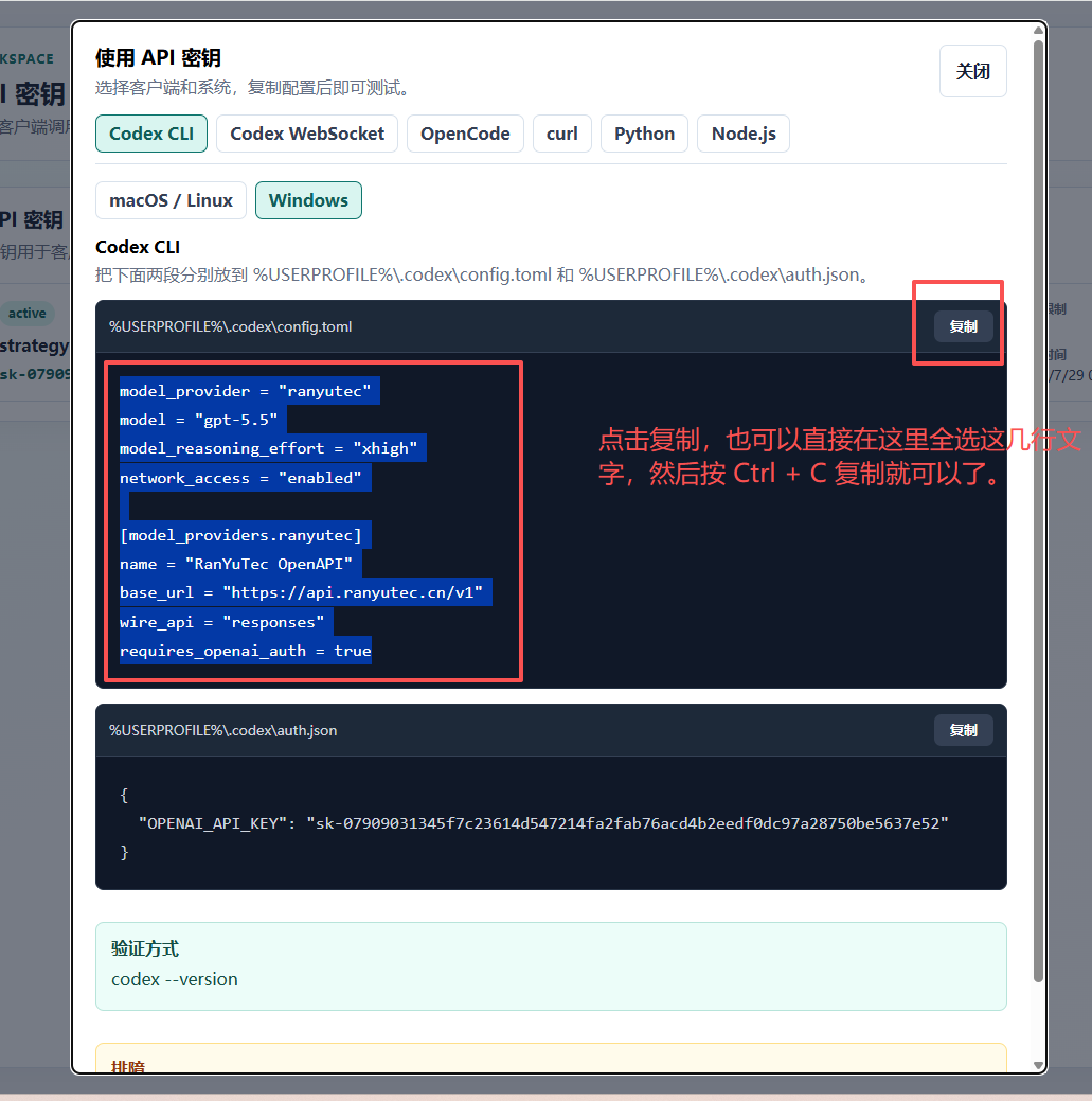 打开 Codex 配置文件