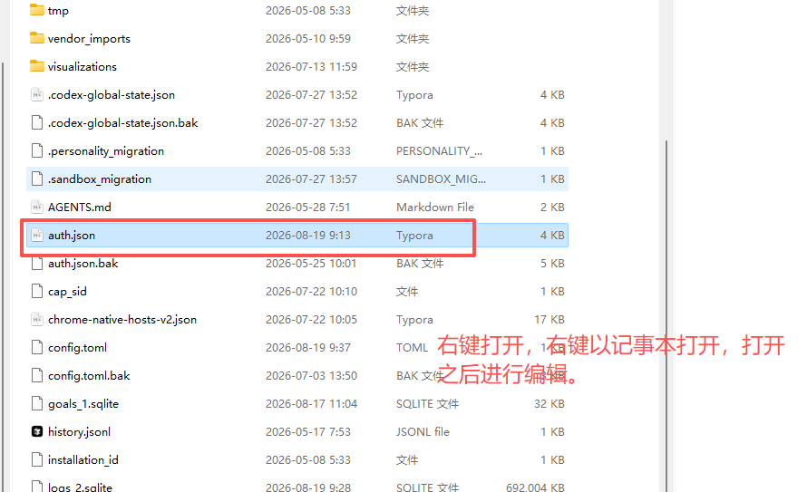 粘贴 auth.json 配置