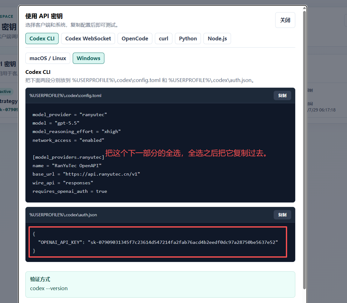 检查 JSON 格式