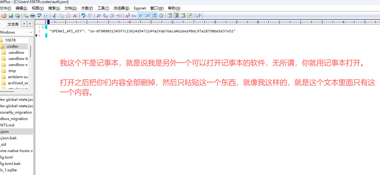 保存 Codex 配置文件
